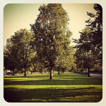 Back in Buffalo, this is Bidwell Parkway.