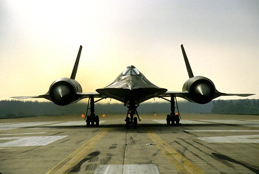 blackbird
