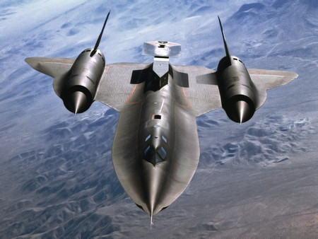 blackbird