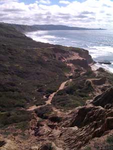 san diego