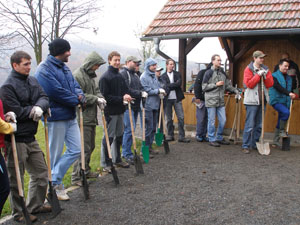 planting