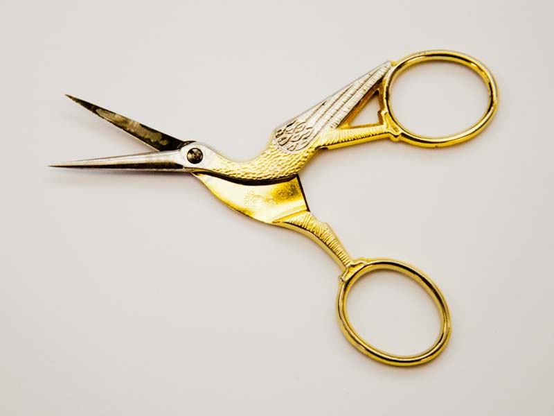 bird-scissors.jpg