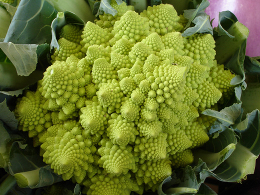 brassica_romanesco.jpg